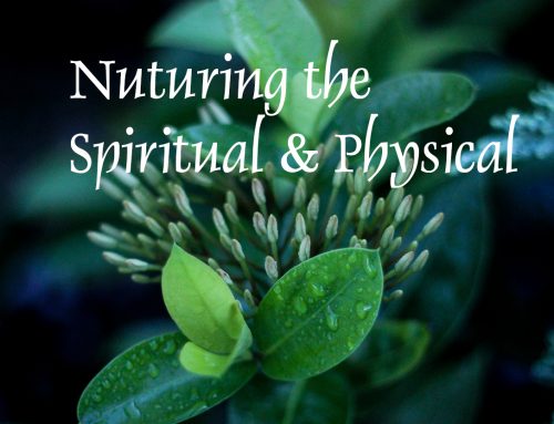 Nurturing the Spiritual & Physical – In the Forest, Leaves Are Always Falling