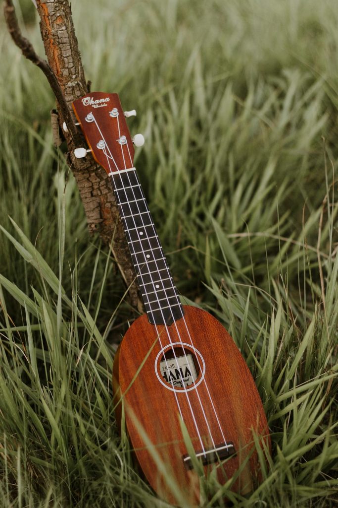 Photo by juliane sanchez from Pexels: https://www.pexels.com/photo/a-ukulele-sitting-in-the-grass-next-to-a-tree-19381572/
